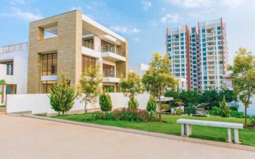 Prestige White Meadows