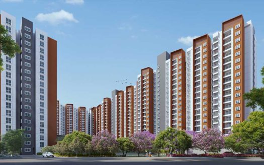 Provident Botanico