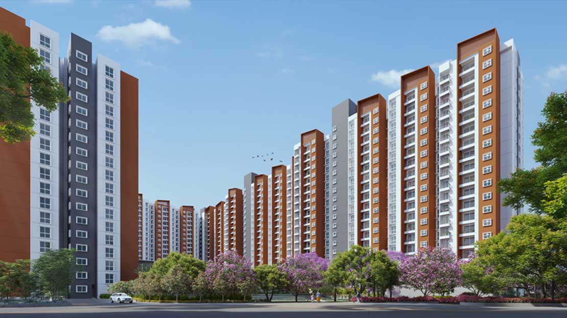 Provident Botanico