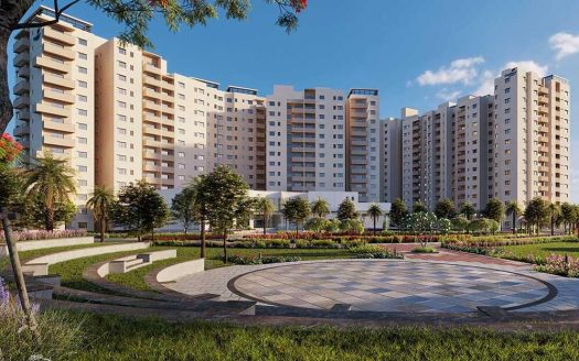 Century Liva