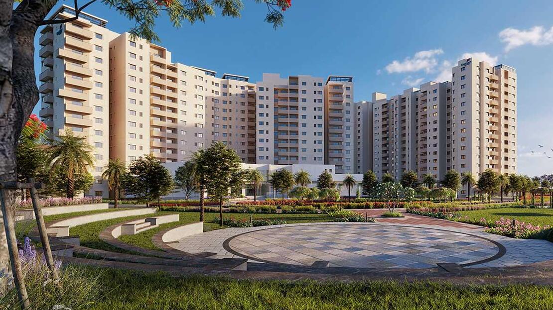 Century Liva