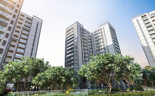 Prestige Pine Forest