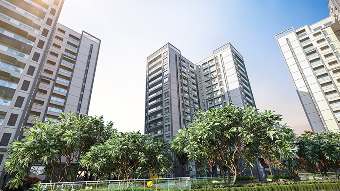 Prestige Pine Forest