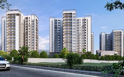Prestige Pine Forest