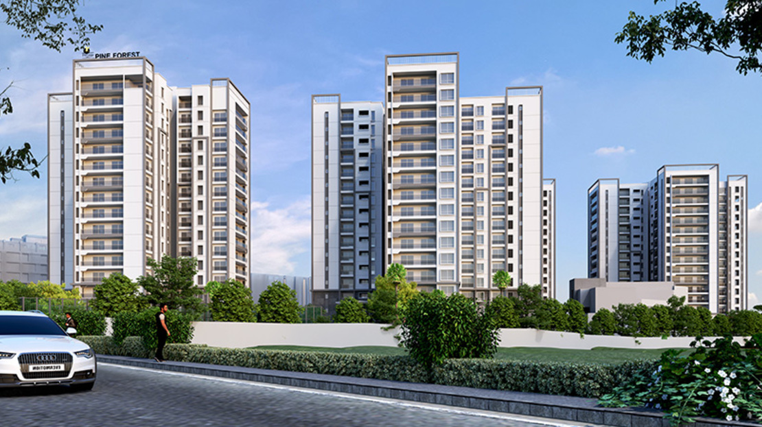 Prestige Pine Forest