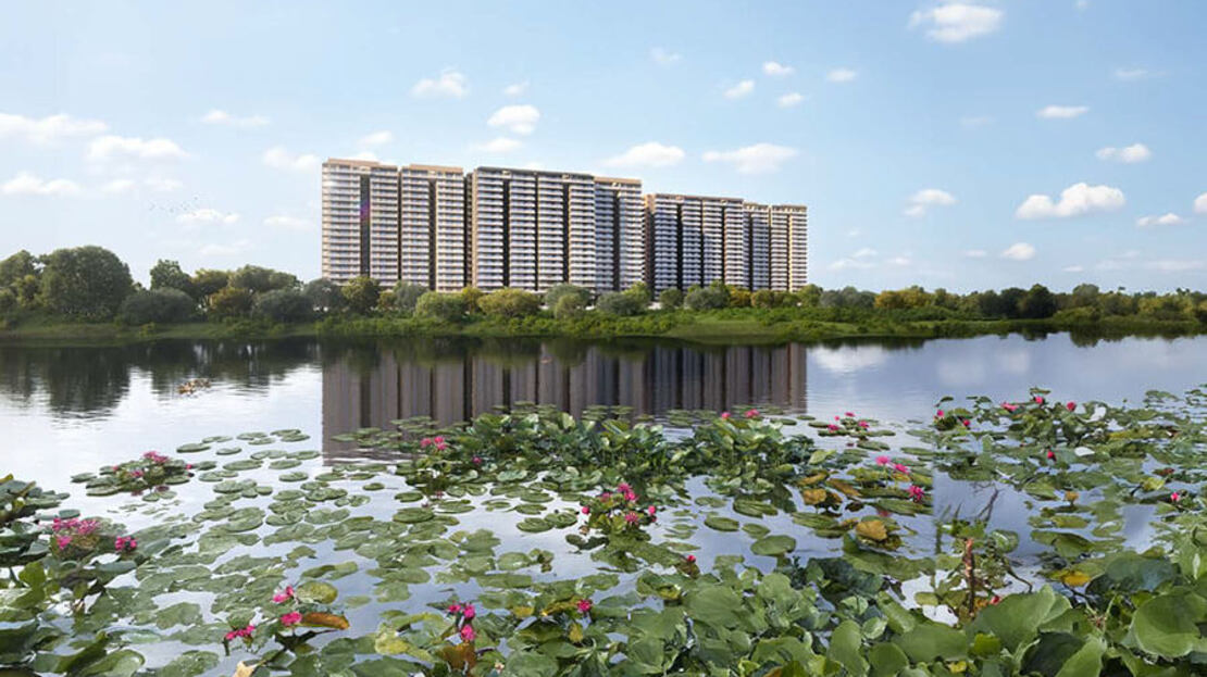 Prestige Rain Evergreen