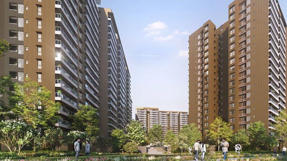 Prestige Evergreen